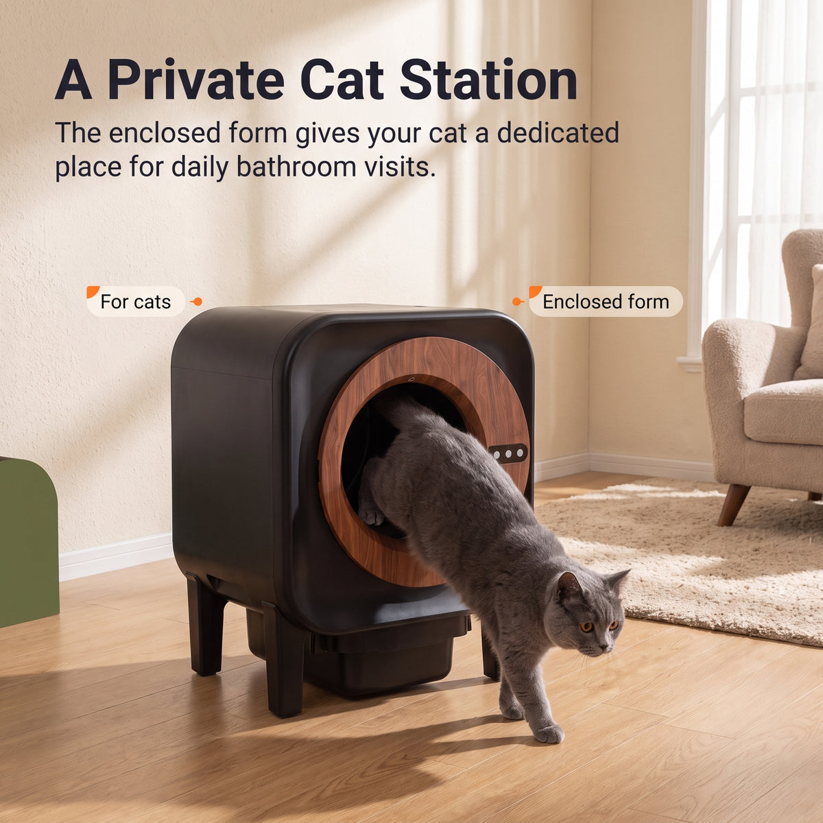 PawNovi Automatic Cat Litter Box — PawNovi