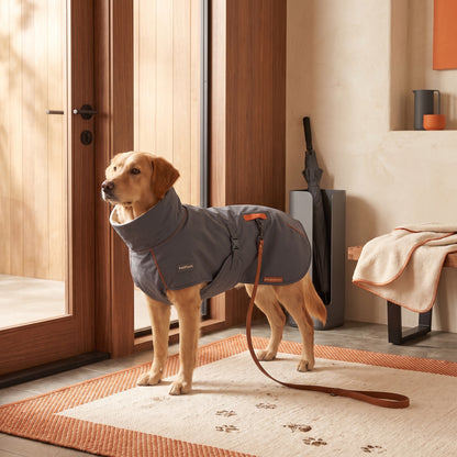 PetPivoit HaloRain Full-Coverage Dog Shell — lifestyle use