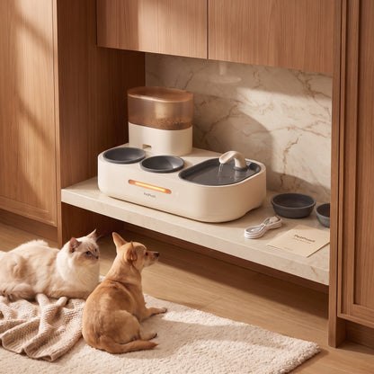 PetPivoit HydrateHub Smart Meal + Water Station — brand story